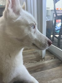 Lua - Photo 3
