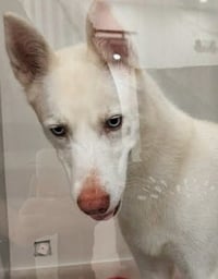 Lua - Photo 2