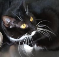 Genny - Center - Photo 1