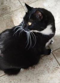 Genny - Center - Photo 3