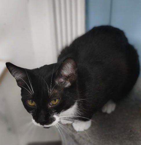 Minney PSD - Photo 3