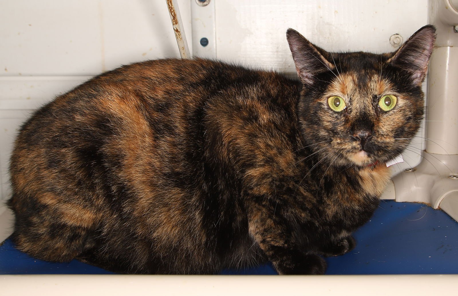 Kelly Center - Photo 3