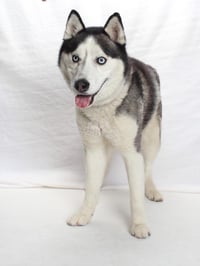 ZEUS - Photo 1
