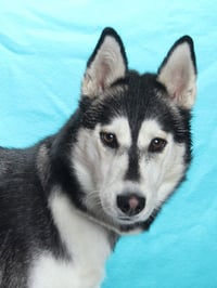 LUCKY - Photo 1
