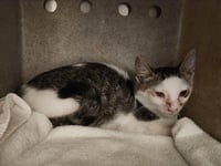 A143463 - Photo 1