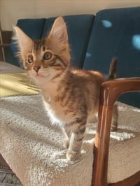 *BEEZBEEZ - Photo 1