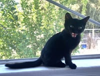 *JIJI - Photo 1