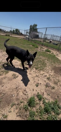 Tucker - Photo 3