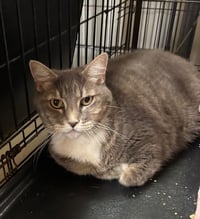 Katie - Photo 2