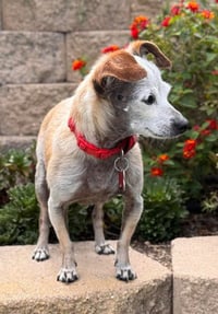 Nadette - Photo 3