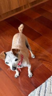 Nadette - Photo 4