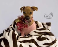 Nadette - Photo 7