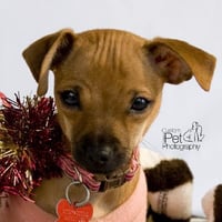 Nadette - Photo 8