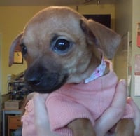 Nadette - Photo 10