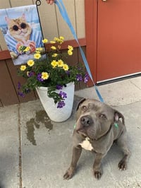 ZEUS - Photo 1