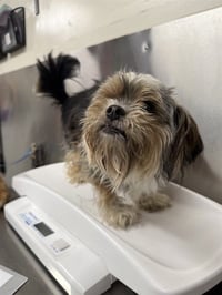 FRANK - Photo 1