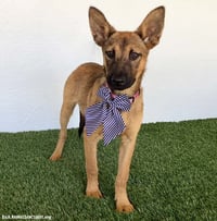 Ellen - Photo 4