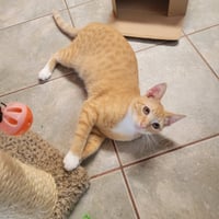 Marty - Photo 2