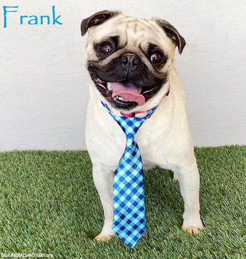 FRANK