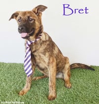 Bret - Photo 1