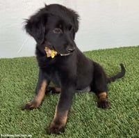 Teegan - Photo 3