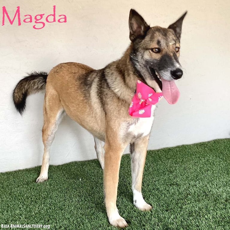 Magda Image
