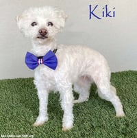 Kiki - Photo 1
