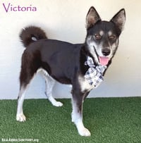 Victoria - Photo 1