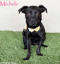 Michele - Photo 1