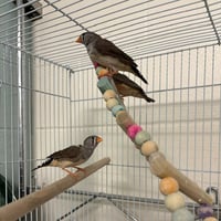ATHENA - Photo 1