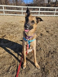 SADIE - Photo 1