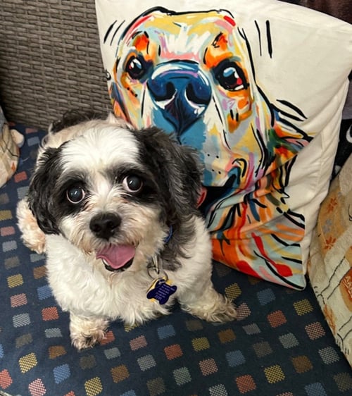 GEORGIE