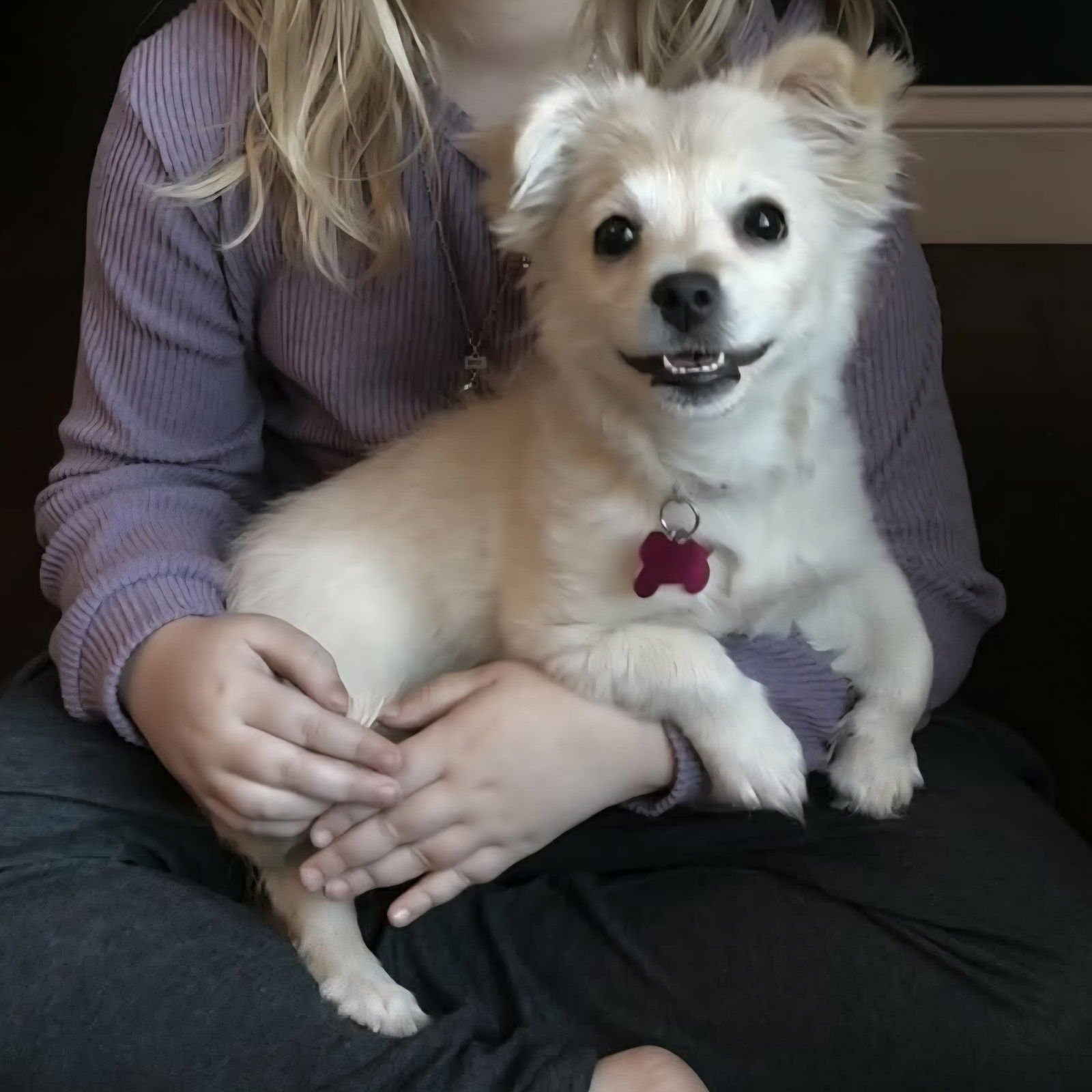 VALENTINE - Unknown available for adoption