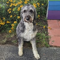 Ethel - Photo 3