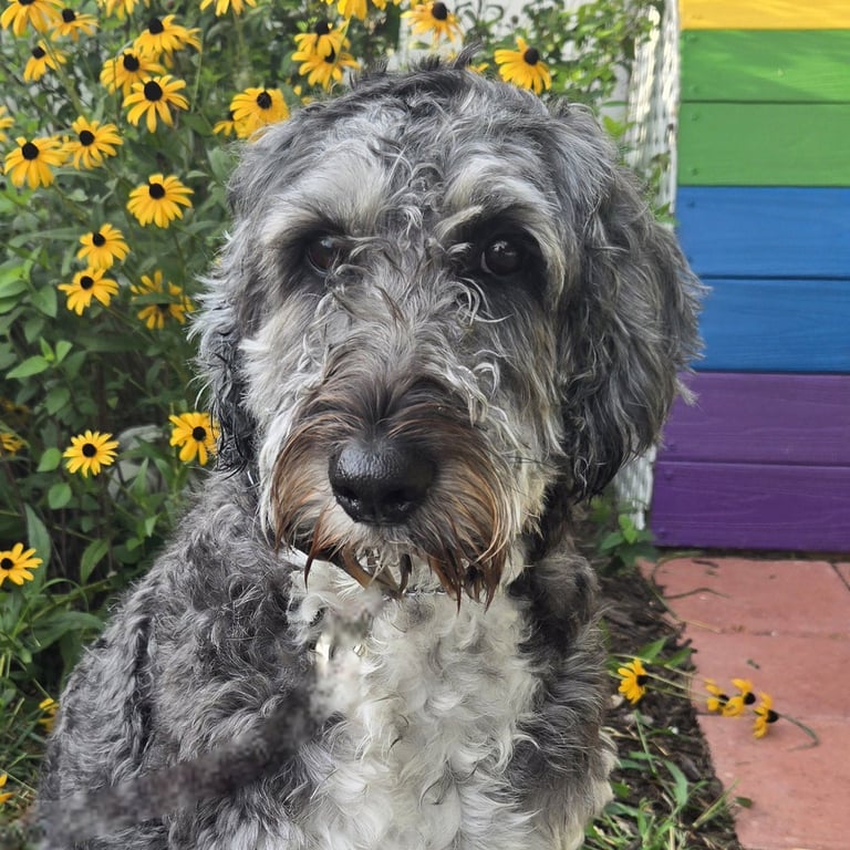 Ethel Image