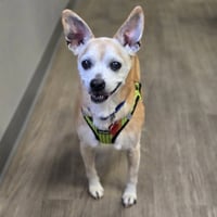 Charlie - Photo 3