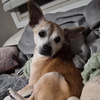 Charlie - Photo 5