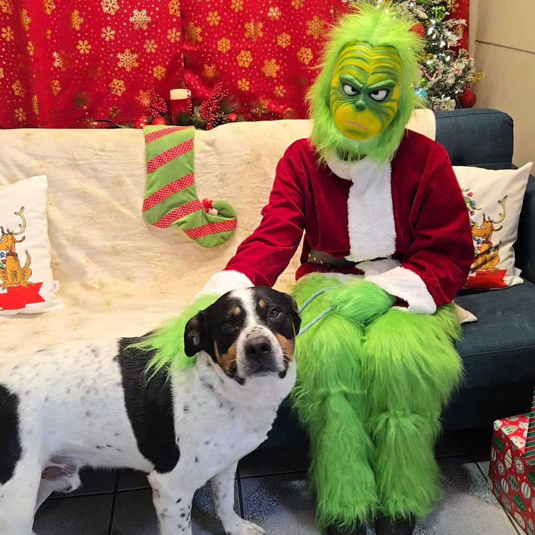 MOOSE - Unknown available for adoption