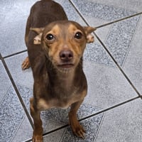Petey - Photo 3