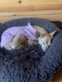 Dorothy - Photo 5