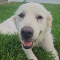 Bianca - Photo 4