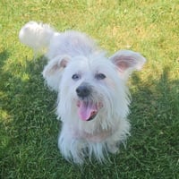 Trusty - Photo 2