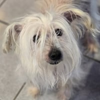 Trusty - Photo 3