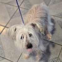Trusty - Photo 4
