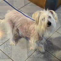 Trusty - Photo 7