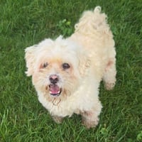 Carson - Photo 3