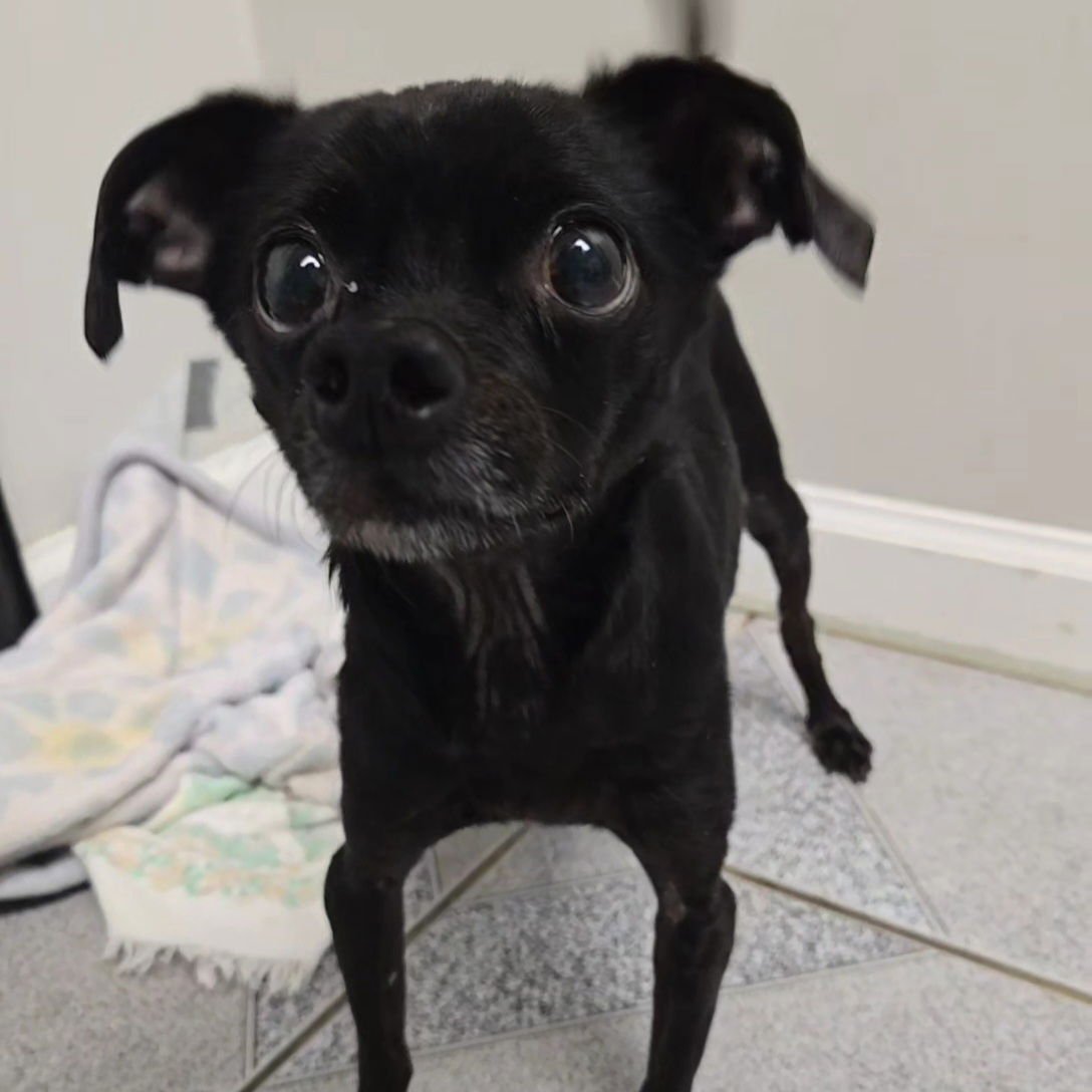 Ziggy Bob Marley - Photo 3