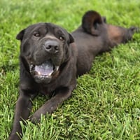 Max - Photo 3