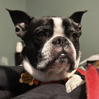Jack Jack - Photo 2