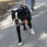 Jack Jack - Photo 3